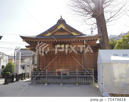 松戸神社　千葉県松戸市 75479828