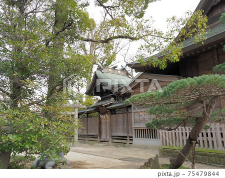 松戸神社　千葉県松戸市 75479844