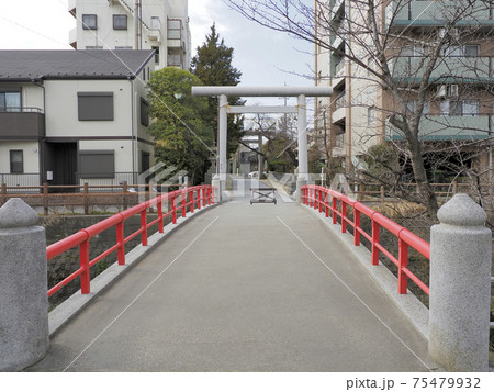 松戸神社　千葉県松戸市 75479932