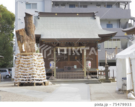 松戸神社　千葉県松戸市 75479933