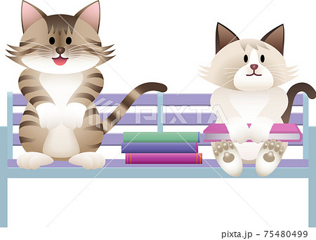 ベンチに座るネコのイラスト ベンチに座るネコのイラスト 75480499