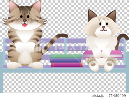 ベンチに座るネコのイラスト ベンチに座るネコのイラスト 75480499