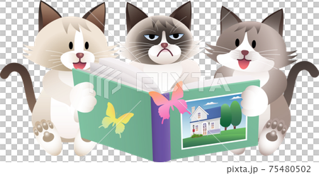 讀一本書的一隻貓的插圖 75480502