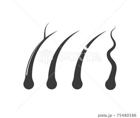 hair root icon vector illustration design 75480586