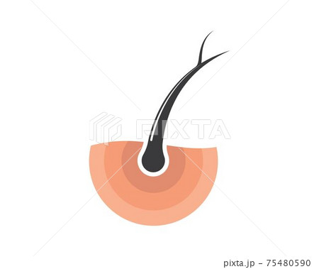 hair root icon vector illustration design 75480590