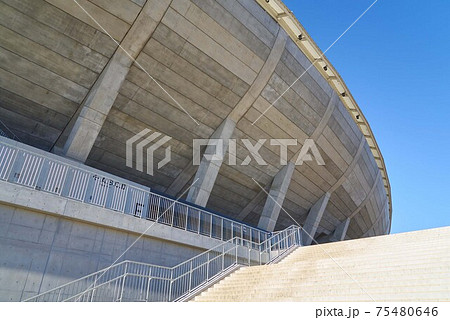 カンセキスタジアムとちぎ 75480646