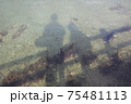 浅瀬の海に映る親子の影 75481113