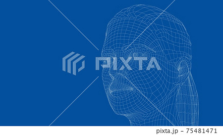 Wireframe portrait of a young beautiful girl Wireframe portrait of a young beautiful girl 75481471