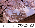 桜の向こうに姫路城 75482108
