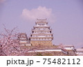 青空と桜と姫路城 75482112
