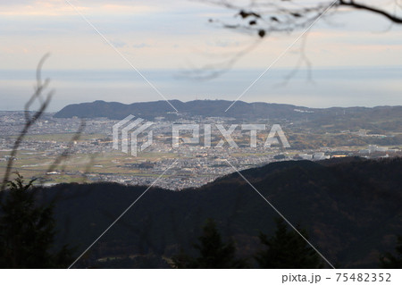 大山見晴台付近の九十九曲ハイキングコースから見下ろした夕方の神奈川県の平地 75482352