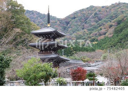 紅葉する浄発願寺にある三重塔 75482405