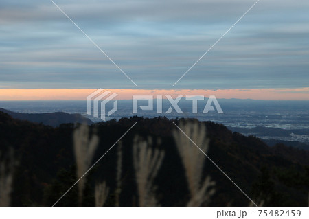 大山見晴台付近の九十九曲ハイキングコースから見下ろした夕方の神奈川県の平地 75482459