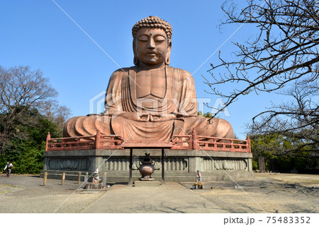 聚楽園大仏 75483352