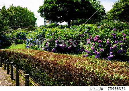 市民四季の森 75483371