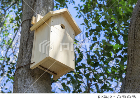 野鳥のための木製の巣箱の写真素材