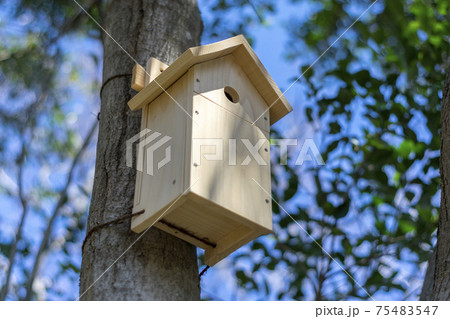 野鳥のための木製の巣箱 75483547