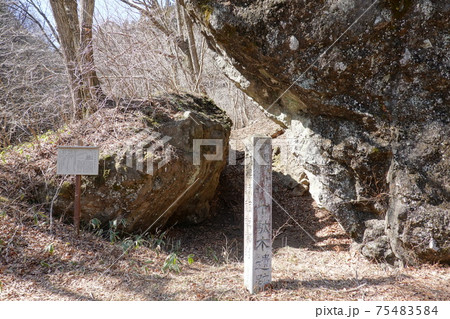 千駄木遺跡 75483584