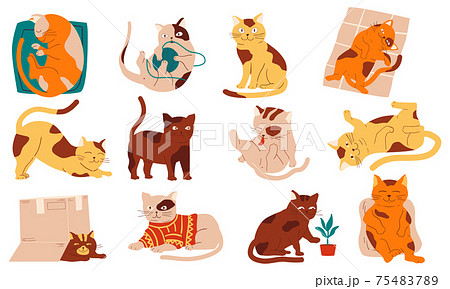 Doodle cats. Funny home pets walking sleeping playing and stretching, purebred cartoon domestic animals collection. Cheerful fluffy adorable kitten in different poses vector isolated set 75483789