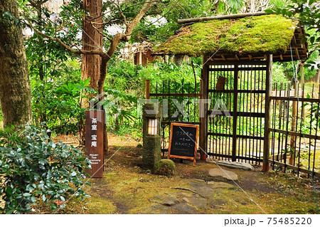 鎌倉市　北鎌倉の茶室「宝庵」門 75485220