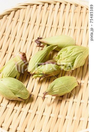 春の味覚 ふきのとう 春の味覚 ふきのとう 75485389