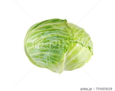 Cabbage isolated on white background. clipping path Cabbage isolated on white background. clipping path 75485629