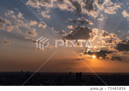 東京の夕陽 東京の夕陽 75485856