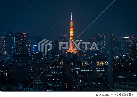東京タワー 75485887
