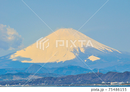 江ノ島から観た冠雪の富士山 江ノ島から観た冠雪の富士山 75486155