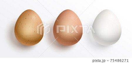 A set of realistic chicken egg isolated on white background 75486271