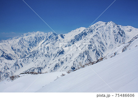 信州　栂池 75486606