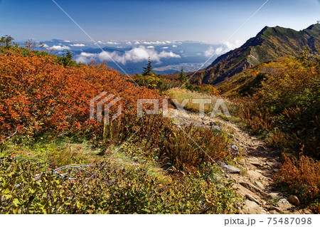 紅葉の鹿島槍ヶ岳稜線と爺ヶ岳・安曇野の眺め 75487098