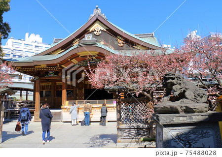 東京都文京区の湯島天神　学問の神様 湯島天満宮 75488028