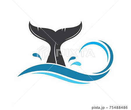 whale tail icon vector illustration design whale tail icon vector illustration design 75488486