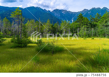 上高地　長野県　松本市　穂高岳　景勝地　山　川　高原　梓川　日本アルプス　山岳　中部山岳国立公園　池 75488756