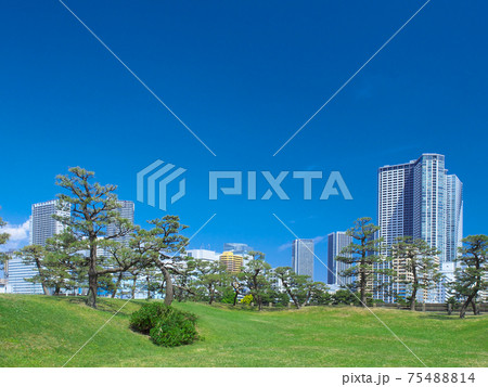 【東京都・2017年6月】 浜離宮恩賜庭園 都市風景 【東京都・2017年6月】 浜離宮恩賜庭園 都市風景 75488814