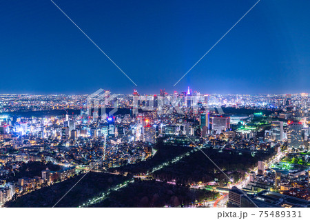 青山霊園　青山　六本木ヒルズ　午後　俯瞰　見下ろし　都心　夜景　東京　タワーマンション　高層ビル 75489331