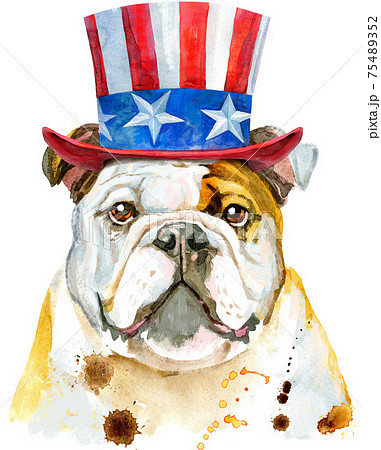 Cute dog with Uncle Sam hat on white background 75489352