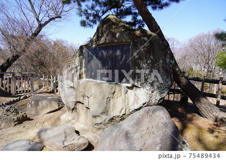 戦国時代に武田信玄の命により山本勘助らによって縄張りがされた、穴城(あなじろ)冬の小諸城址・懐古園 戦国時代に武田信玄の命により山本勘助らによって縄張りがされた、穴城(あなじろ)冬の小諸城址・懐古園 75489434