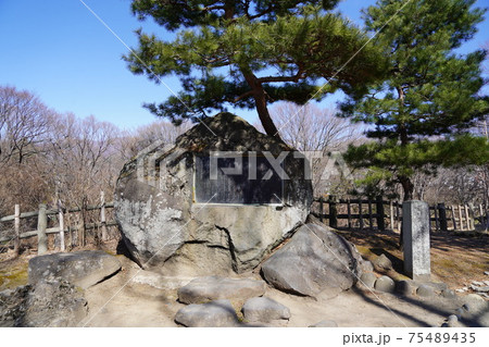 戦国時代に武田信玄の命により山本勘助らによって縄張りがされた、穴城(あなじろ)冬の小諸城址・懐古園 戦国時代に武田信玄の命により山本勘助らによって縄張りがされた、穴城(あなじろ)冬の小諸城址・懐古園 75489435