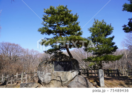 戦国時代に武田信玄の命により山本勘助らによって縄張りがされた、穴城(あなじろ)冬の小諸城址・懐古園 戦国時代に武田信玄の命により山本勘助らによって縄張りがされた、穴城(あなじろ)冬の小諸城址・懐古園 75489436