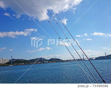 小鳴門海峡（明神）での投げ釣り 75490086