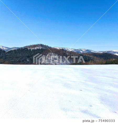 北海道の大自然の中の雪景色 75490333