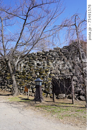 戦国時代に武田信玄の命により山本勘助らによって縄張りがされた、穴城(あなじろ)冬の小諸城址・懐古園 戦国時代に武田信玄の命により山本勘助らによって縄張りがされた、穴城(あなじろ)冬の小諸城址・懐古園 75491576