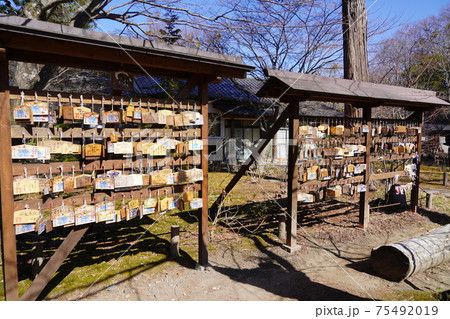 戦国時代に武田信玄の命により山本勘助らによって縄張りがされた、穴城(あなじろ)冬の小諸城址・懐古園 戦国時代に武田信玄の命により山本勘助らによって縄張りがされた、穴城(あなじろ)冬の小諸城址・懐古園 75492019