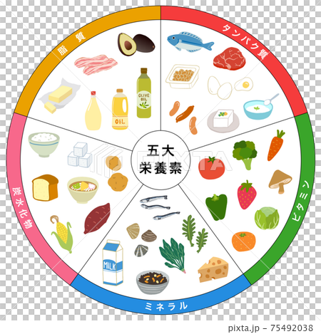 五大栄養素 食品 一覧表のイラスト素材