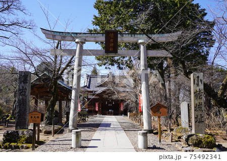 戦国時代に武田信玄の命により山本勘助らによって縄張りがされた、穴城(あなじろ)冬の小諸城址・懐古園 戦国時代に武田信玄の命により山本勘助らによって縄張りがされた、穴城(あなじろ)冬の小諸城址・懐古園 75492341