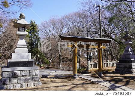 武田信玄の命により山本勘助らによって縄張りがされた、穴城（あなじろ）冬の小諸城址・懐古園(鹿島神社） 75493087