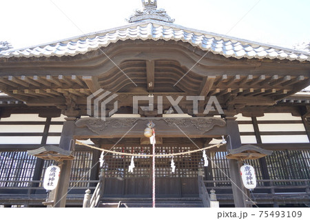 武田信玄の命により山本勘助らによって縄張りがされた、穴城（あなじろ）冬の小諸城址・懐古園(鹿島神社） 75493109