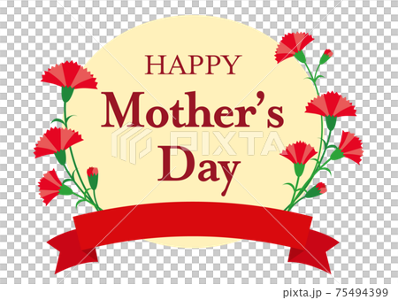 母親節康乃馨絲帶框架12 75494399